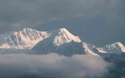 What Wildlife Might You See on the Kanchenjunga Circuit Trek?
