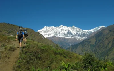 Can You Trek the Kanchenjunga Circuit Solo? 2026 Guide
