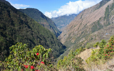 Is the Kanchenjunga Circuit Trek Harder Than Everest Base Camp?